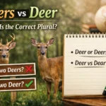 deers vs deer
